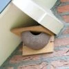 House Martin Nest (Right Single) -Bird Supply Store kunstnest huiszwaluw enkel ingang rechts 90050 5 9