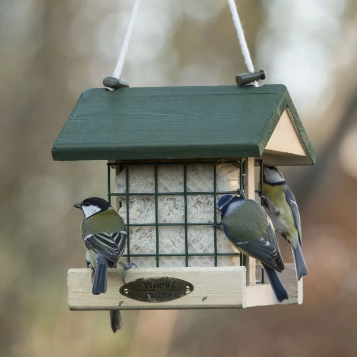 Pasadena Peanut Cake Square Feeder 3 Pasadena Peanut Cake Square Feeder