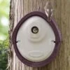 WoodStone® Alicante 32mm Nest Box (Brown) -Bird Supply Store nistkasten alicante woodstone 32 mm braun 90690 3