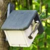 Zurich 32mm Nest Box -Bird Supply Store nistkasten zurich 90781