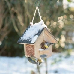 National Trust Jupiter Slate Peanut Feeder -Bird Supply Store nt30400