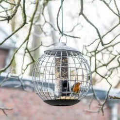 National Trust Athena Bird Seed Guardian Feeder -Bird Supply Store nt35111 jvg 0863