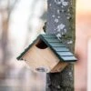 National Trust Robin & Wren Nest Box -Bird Supply Store nt93072