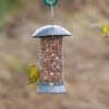 Adventurer Peanut Feeder -Bird Supply Store pinda adventurer