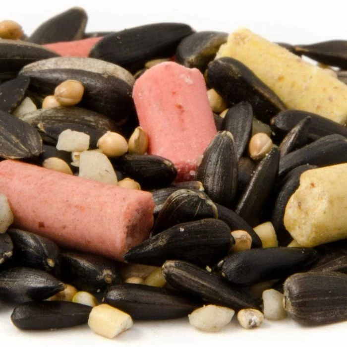 Premium Bird Feeder Seed Mix 4 Premium Bird Feeder Seed Mix - Image 2