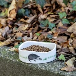 Premium Hedgehog Food 13 Premium Hedgehog Food -Bird Supply Store premium hedgehog food 190340120 938430119 jvg 2433 2 1