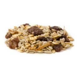 Best Robin Blend Bird Seed Mix 11 Best Robin Blend Bird Seed Mix -Bird Supply Store rotkehlchen delikatessen 12057 1