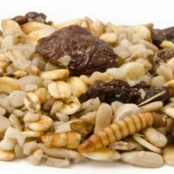 Best Robin Blend Bird Seed Mix 9 Best Robin Blend Bird Seed Mix -Bird Supply Store rotkehlchen delikatessen 12058 1