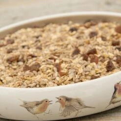 Best Robin Blend Bird Seed Mix 10 Best Robin Blend Bird Seed Mix -Bird Supply Store rsz 1robin food dish 12058 ah 0927