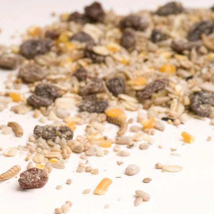 Best Robin Blend Bird Seed Mix 4 Best Robin Blend Bird Seed Mix - Image 2