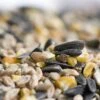 Hi-Energy Seed Mix For Birds 1 Hi-Energy Seed Mix For Birds -Bird Supply Store rsz 1stan paulus 1771