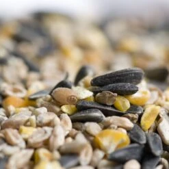 Hi-Energy Seed Mix For Birds