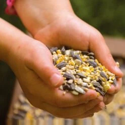 National Trust Garden Bird Table Seed -Bird Supply Store rsz 5 jv05729 a