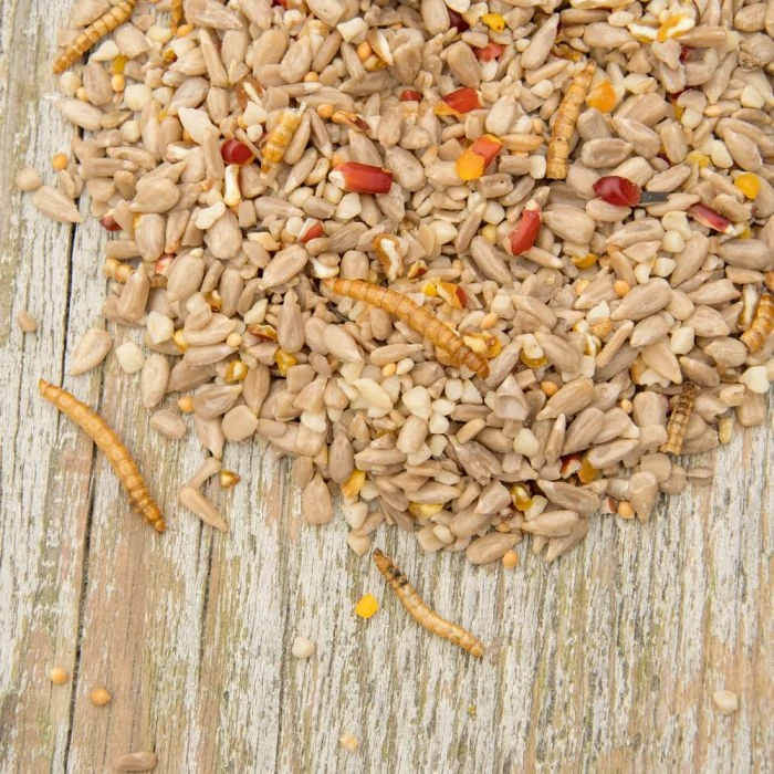 Hi-Energy Supreme Bird Seed Mix 4 Hi-Energy Supreme Bird Seed Mix - Image 2