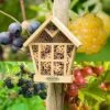 Fruit Garden -Bird Supply Store rsz httpswwwvivaracoukblackberry black satin 1