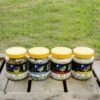 Twist & Feed - Bundle Of 4 -Bird Supply Store twist feed