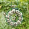 Fat Ball Feeding Ring -Bird Supply Store vivara fat ball feeder ring 35092
