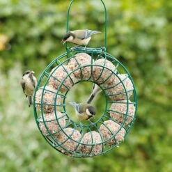 Fat Ball Feeding Ring