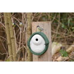 WoodStone® Alicante 28mm Nest Box (Green) -Bird Supply Store woodstone alicante 28mm green 90683 2 haakjes bewerkt